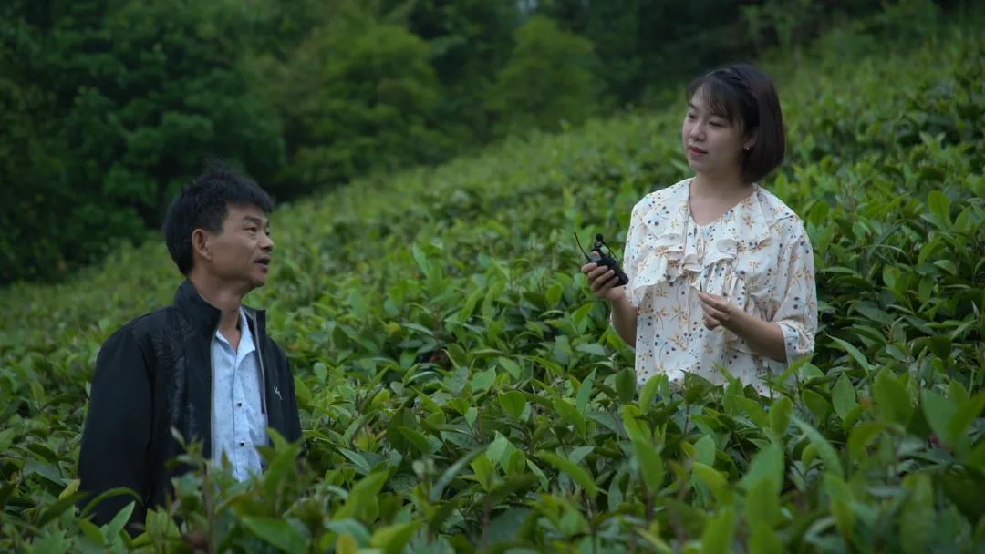 這位“全能型”記者不簡單！她用執(zhí)著與熱情記錄著仁化的發(fā)展